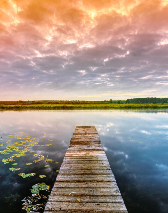 Immediate Relief from Anxiety Immediate Relief from Anxiety